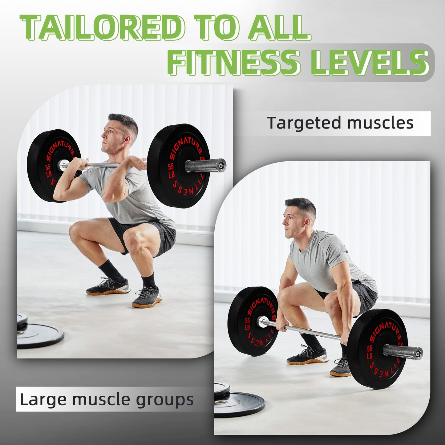 Fitvids Olympic Bumper Plates Set, 2" Weight Plates for Strength Training & Weightlifting, Available in Pairs, Sets, or Sets with Barbell – Multiple Options